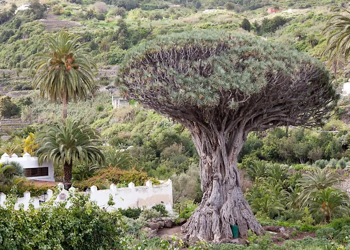 Tenohomes Sunny Terrace & Private Pool Holiday home *